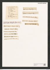 Campylodiscus clypeus Ehr. (de-Toni-Nr.: Genus 57, Species 2452) Zeichnungen Sammlung Grunow (NHMW-BOT-W0373147)